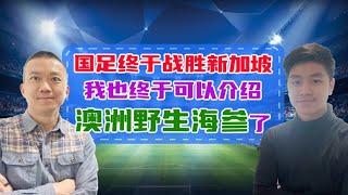 国足终于战胜新加坡，我也终于可以介绍澳洲野生海参了…