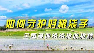 强降雨高温齐“上线” 如何守护好“粮袋子”？「央视财经评论」 20240718 | 财经风云