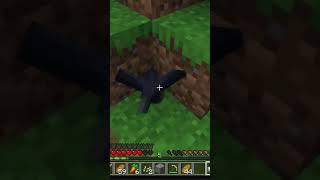 Taming Crows in Minecraft!