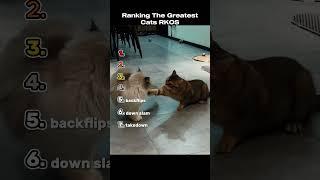 Ranking The Greatest Cats Takedown Moments