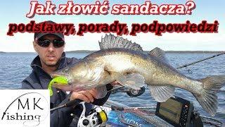 JAK ZŁOWIĆ SANDACZA? Podstawy, porady, podpowiedzi. Wędkarstwo spinningowe