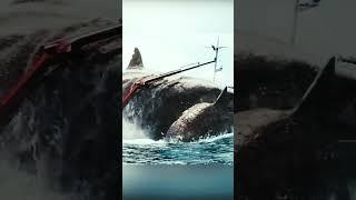 قرش الميجالدون ..اقوي قرش علي الكوكب #المحيط#البحر