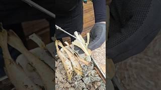 노가리 최고의 맛! 단양구경시장 명품!