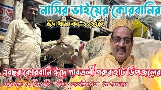 নাসির ভাই এর কোরবানির ঈদ ধামাকা ২০২৪ইং||কোরবানির ৪০টি মাঝারি ও বড় গরুর দাম কেমন||গাবতলী গরুর হাট