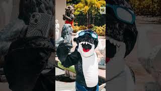 POV: You got invited to the NHL mascot pool party.  #nhl #hockey