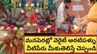 పెరట్లోఇంతపెద్దఅరటిపళ్ళు కాయటంచాలాఆశ్చర్యం| ఈరోజుఅన్ని మనసొంతవే| సాక్షాత్తు స్వామి భోంచేశారు