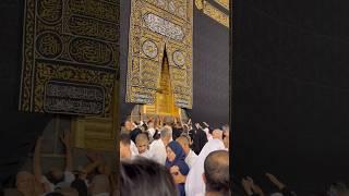 Mashallah very expensive view  #viralreels