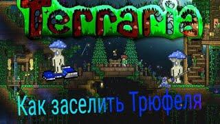 Как заселить Трюфеля в Terraria на Android/IOS