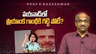 వయనాడ్ లో ప్రియాంక గాంధీకి గట్టి పోటీ? || Will Priyanka Gandhi face tough fight in Wayanad? ||