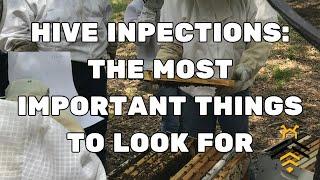 Dr. Jamie Ellis- Hive Inspection Frequency & Most Important Things to Look For