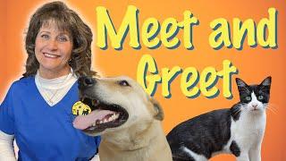 Why are Meet and Greets Important for Pet Sitting?