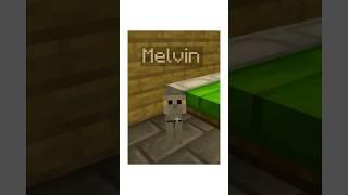 The OLDEST Minecraft Squid Island Pet...