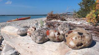 Hunting Puddingstones, Petoskey Stones and Other Michigan Rocks with Dan