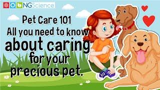 Pet Care 101 – All you need to know about caring or your precious pet.