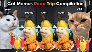 Cat Memes Road Trip Compilation Full