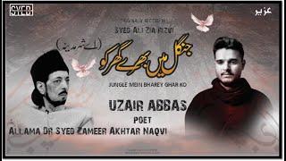 Jungle Mein Bhary Ghar Ko Luta Ayi Hai Zainab(s.a) Ay Sher e Madina | Uzair Abbas | Muharram 2020