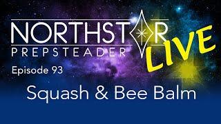 Bee Balm & Squash—What's in Your Garden? • NORTHSTAR Live! Ep. 93