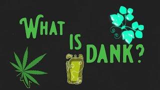 What is Dank?