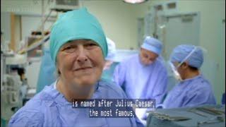 Julius Caesar Revealed  Mary Beard  C-section