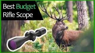 The Best Budget Rifle Scope on Amazon | Burris Optics