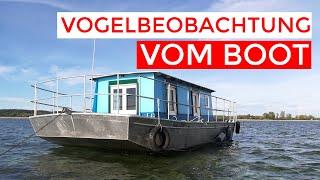 Vier Tage AUF dem Bodensee | Vogelbeobachtung von der Netta