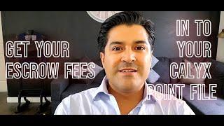 Calyx Point - How to input FEES  in to my File