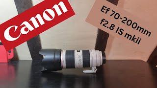 Canon EF 70-200mm f2 8 IS mkii - Is it worth buying?? How good is it with mirrorless camera's??