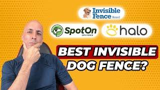 Best Invisible Dog Fence? Unbelievable Truth About the Top 3!