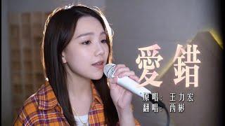 我从来没想过我会这样做，从来没爱过所以「爱错」cover