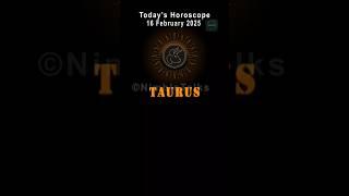 "TAURUS Feb 16, 2025: Steady Career Growth  + Cozy Love?  | Nimble Talks"
