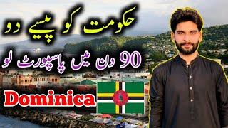 How To Apply Dominica Citizenship by investment || Dominica Passport