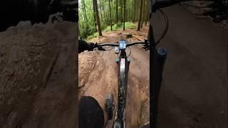 Hometrails Korb  #mtb #trailriding #shortvideo #shapeandride_ev