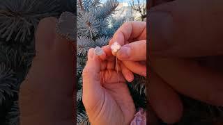 Протяжки Van Cleef из серебра