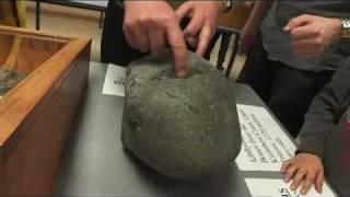 Fossils - Incredible Science 2009