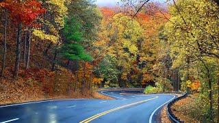 Georgia's Fall Foliage: US-19 Most Beautiful Road in Chattahoochee National Forest