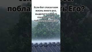 #молитва#верую#вераправославная#пресвятаябогородица#богородицадева#православие #shortvideo