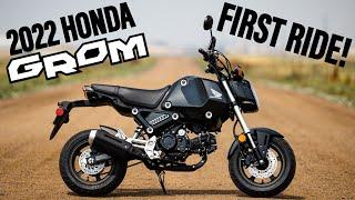 2022 Honda Grom! | First Ride Impressions...