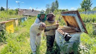 ОДИН ДЕНЬ ИЗ ЖИЗНИ ПЧЕЛОВОДА - пчеловодство, пасека, наващивание рамок