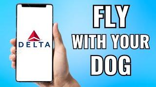 How To Fly With Your Dog On Delta Airlines