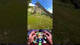 This Drone Flight Gets Wild Fast!
