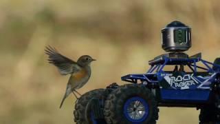 Camorama: Don't Miss Anything