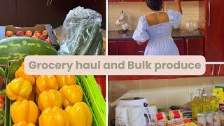 Grocery haul for a family of 6| South African homemaker| Woolworths and Makro haul