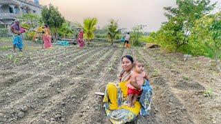 আজ বাড়ির সবাইমিলে বাগানে শীতের সব্জী লাগালাম