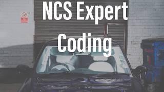 Coding the Mini Cooper S - Using NCS expert