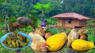 Buhay Probinsya Pag Luluto Ng Ginataang Native Na Manok| Binatang Pinoy