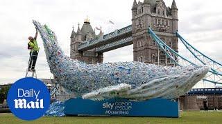 Sir Ranulph Fiennes and Jodie Kidd reveal 10m whale in London - Daily Mail