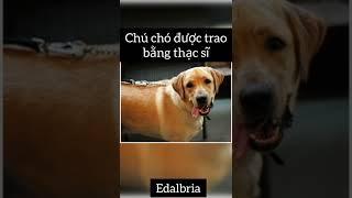 Chú chó đặc biệt được trao bằng thạc sĩ | Edalbria #shorts #dog #xuhuong #thukylichsu