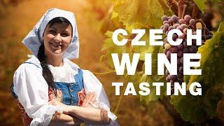 Czech wine tasting - South Moravia