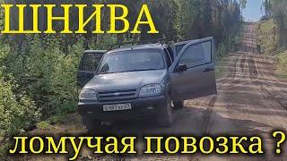 ПОЧЕМУ ТАК ЧАСТО ЛОМАЕТСЯ НИВА?