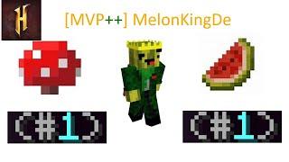 MelonKingDE- The #1 Melon Farmer in Hypixel Skyblock